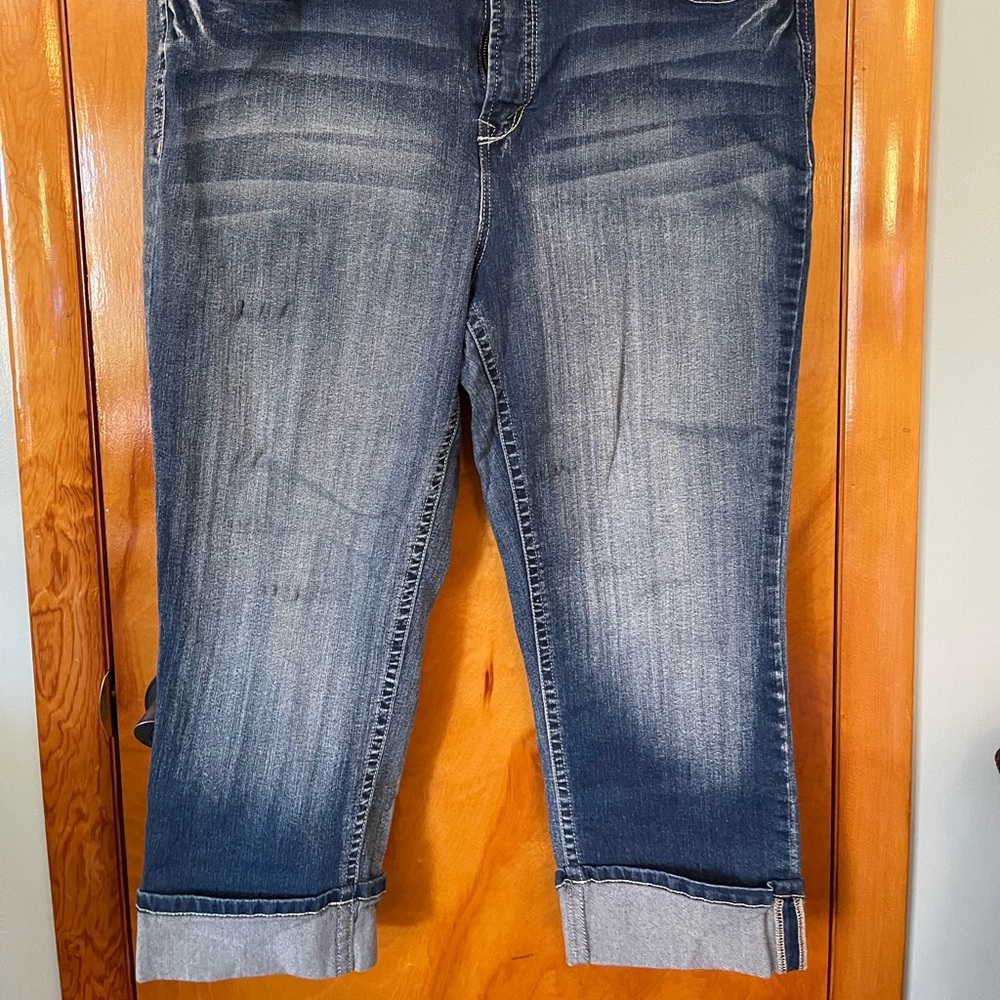 Wallflowers crop jeans. Size 20
